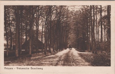 VELUWE - Veluwsche Boschweg
