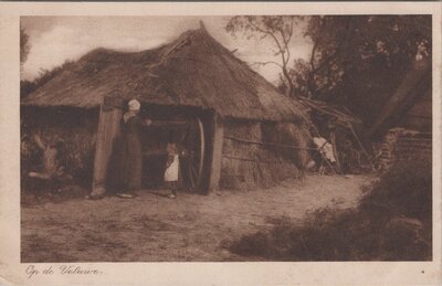 VELUWE - Op de Veluwe, Boerenhut