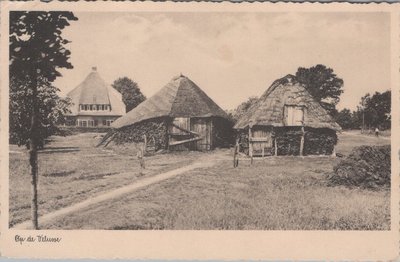 VELUWE - Op de Veluwe, Schaapskooien