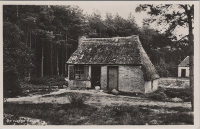 VELUWE - De rustige Veluwe