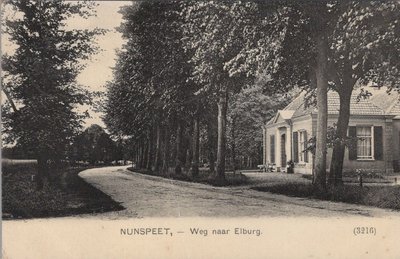 NUNSPEET - Weg naar Elburg