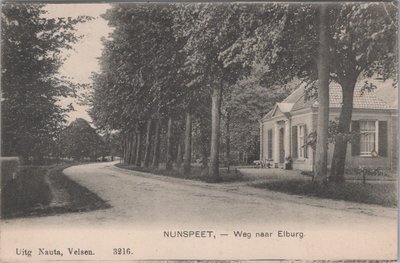 NUNSPEET - Weg naar Elburg