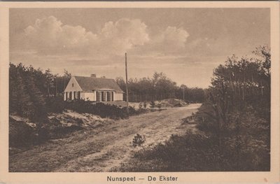 NUNSPEET - De Ekster