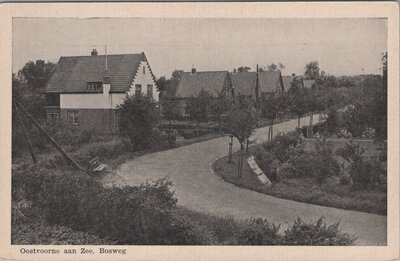 OOSTVOORNE AAN ZEE - Bosweg