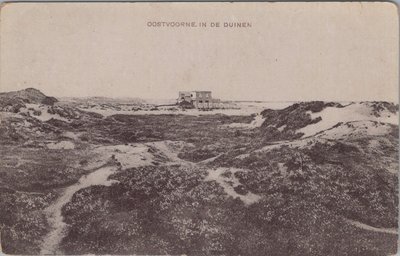 OOSTVOORNE - in de duinen