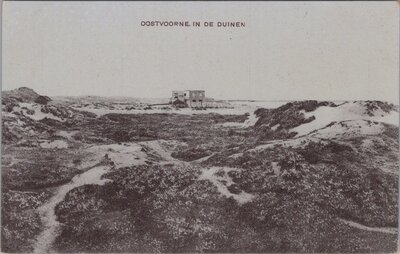 OOSTVOORNE - in de duinen