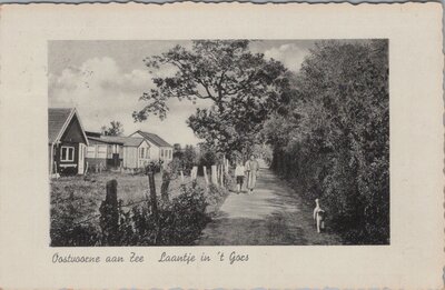 OOSTVOORNE AAN ZEE - Laantje in het Gors