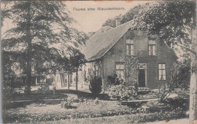 NIEUWENHOORN - Pauwe stee