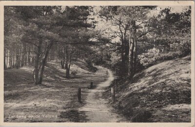 VELUWE - Zandweg op de Veluwe