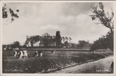 FRIESLAND - Landschap