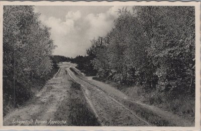 APPELSCHA - Schapedrift Duinen