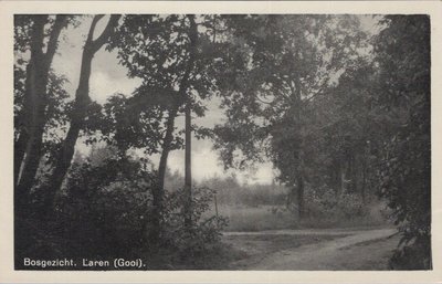 LAREN (GOOI) - Bosgezicht