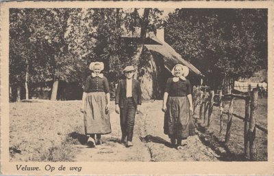 VELUWE - Op de weg