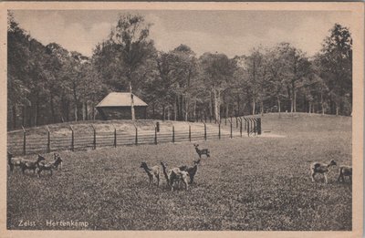 ZEIST - Hertenkamp