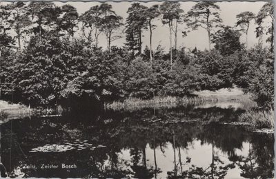 ZEIST - Zeister Bosch