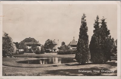 DRIEBERGEN - Vijver Oranjepark