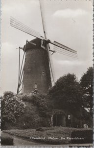 ULVENHOUT - Molen De Korenbloem