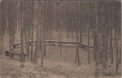 SOESTERBERG - De beroemde kuil in het Bondsbosch