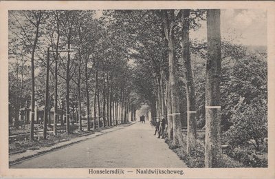 HONSELERSDIJK - Naaldwijkscheweg