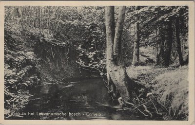 ERMELO - Beek in het Leuvenumsche bosch