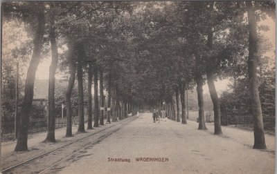 WAGENINGEN - Straatweg