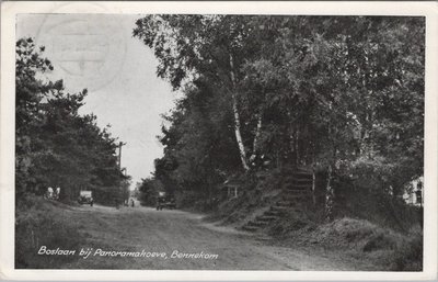 BENNEKOM - Boslaan bij Panoramahoeve