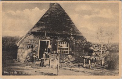 VELUWE - Hut op de Veluwe