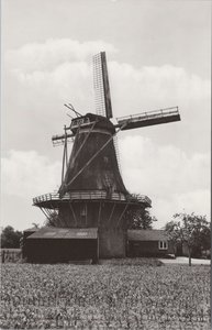 GEESTEREN - Korenmolen De Ster, Ao. 1859