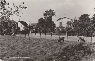 GELDERMALSEN - Hertenkamp