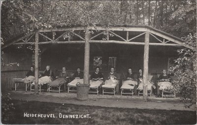 HEIDEHEUVEL - Dennezicht