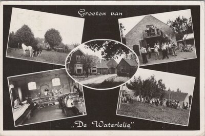 HULSHORST - Meerluik Groeten van De Waterlelie