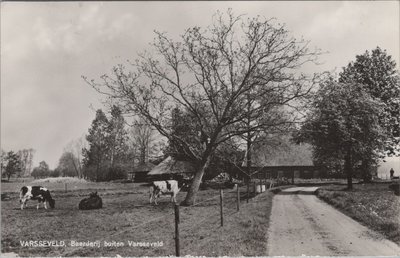 VARSSEVELD - Boederij buiten Varsseveld