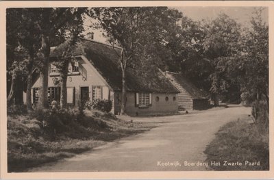 KOOTWIJK - Boerderij Het Zwarte Paard