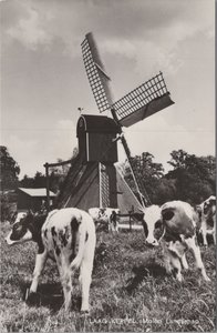 LAAG-KEPPEL - Molen Landschap