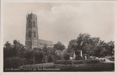 ZALT-BOMMEL - Gezicht op Sint-Maartenstoren