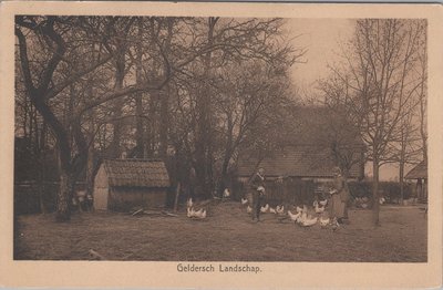 GELDERLAND - Geldersch Landschap