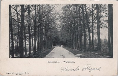 WARNSVELD - Kapperallée