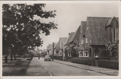 WARNSVELD - Gerstekamp