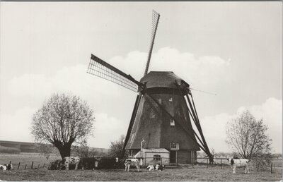 WADENOIJEN - Poldermolen, Ao. 1888