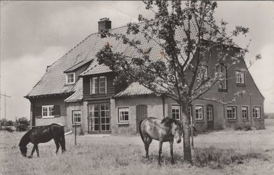 LOCHEM - Ruighenrode. Wilde Zand