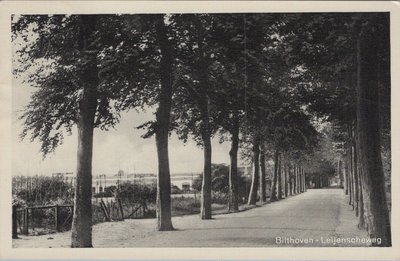 BILTHOVEN - Leijenscheweg