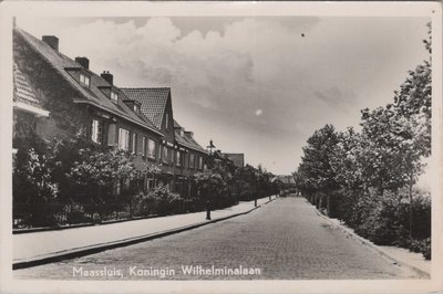 MAASSLUIS - Koningin Wilhelminalaan