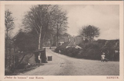 RENKUM - Onder de boomen naar Harte