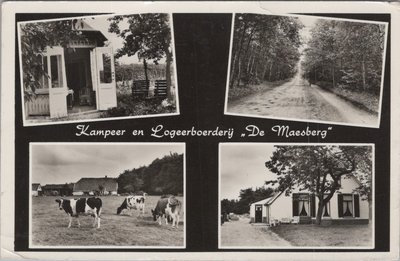 SCHAARSBERGEN - Kampeer en Logeerboerderij De Maesberg