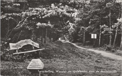 TERSCHELLING - Wandel en rijwielpaden door de dennebossen