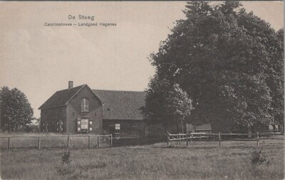 DE STEEG - Carolinahoeve - Landgoed Hagenau