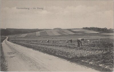 DE STEEG - Rouwenberg