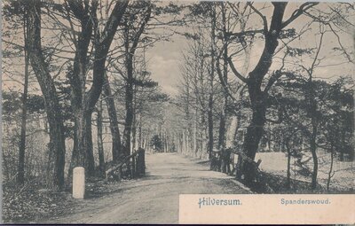 HILVERSUM - Spanderswoud