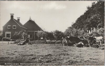 BAKKEVEEN - Kampeerboerderij Wâldsang