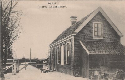 NIEUW - LOOSDRECHT - De Tol